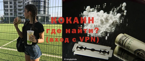 тгк Нея