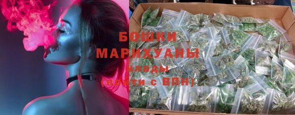 тгк Нея