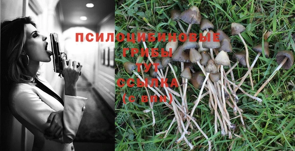 скорость Заволжск