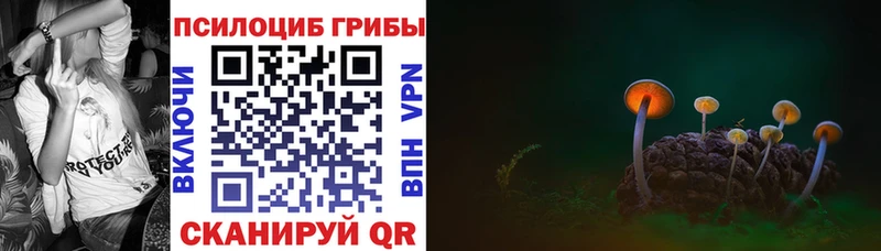 Псилоцибиновые грибы Cubensis  Лакинск 