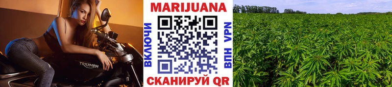 Каннабис ГИДРОПОН  цены   Лакинск 